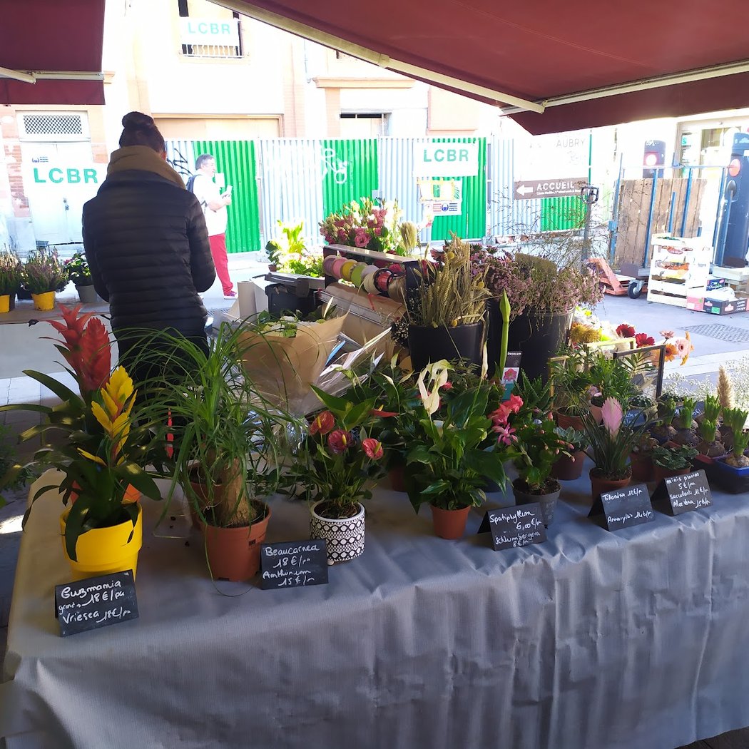 Marché Couvert Saint-Cyprien 3